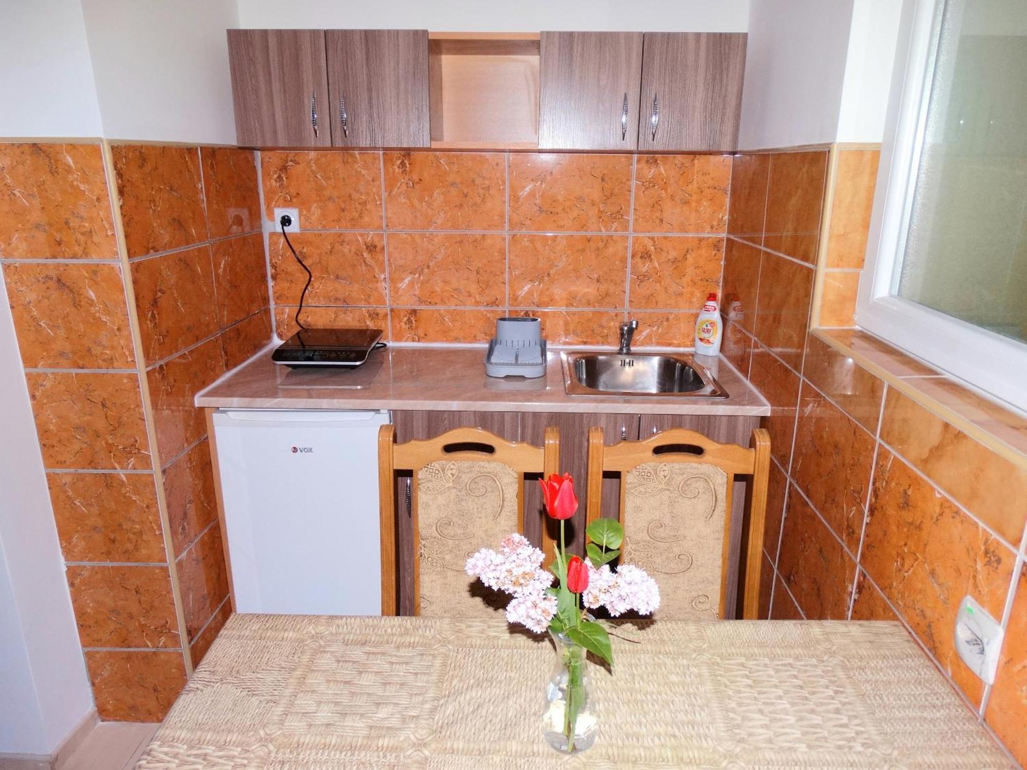 Vila Jenic Soko Banja Exterior foto
